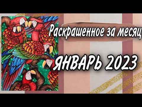 Видео: Раскрашенное за месяц | ЯНВАРЬ 2023 | Раскраски Антистресс