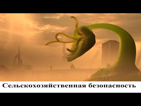 Видео: Сельскохозяйственная безопасность