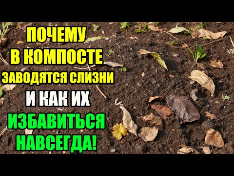 Видео: СЛИЗНИ В КОМПОСТЕ? ВОТ ПРОСТОЕ РЕШЕНИЕ НАВСЕГДА!
