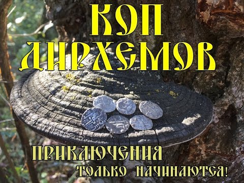 Видео: Коп дирхемов в лесу! Лесная поселуха!