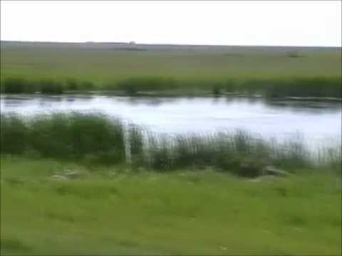 Видео: Суйгенсай, уголок моего детства..wmv