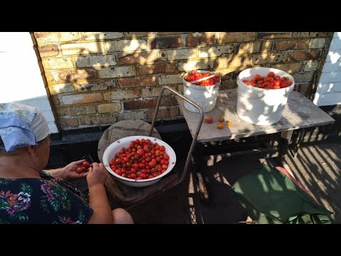 Видео: 🌻🌺В селе у СВЕКРУНЬКИ !👍🙋‍♀️🥗