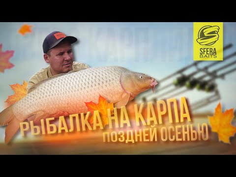 Видео: Ловля карпа поздней осенью. Водоем Карплидер. Прикормка и насадка по холодной воде.