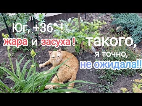 Видео: Вот ТАКОЕ начало лета! ГРУСТНАЯ прогулка...