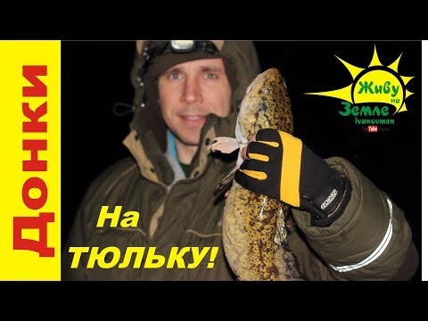 Видео: На ДОНКУ! Вот это налим!
