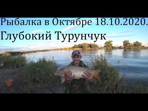 Видео: ✅ Глубокий Турунчук. Рыбалка в Октябре 18.10.2020. Ловим Сазана )