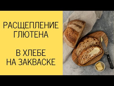 Видео: Как разрушается ГЛЮТЕН в хлебе на закваске / Антон Корнышов