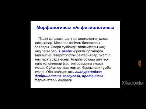 Видео: Зоонозды инфекциялар. Зоонозные инфекции