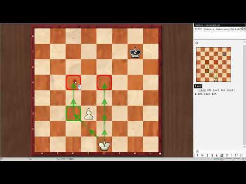 Видео: 40.5 Разминка - расчет технических эндшпилей