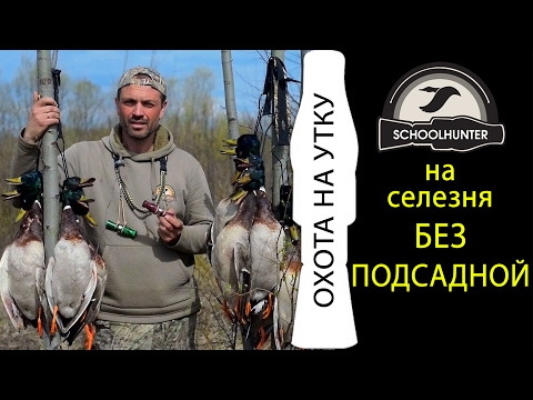 Видео: Охота на селезня без подсадной