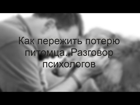 Видео: Как пережить потерю любимого питомца. Разговор психологов