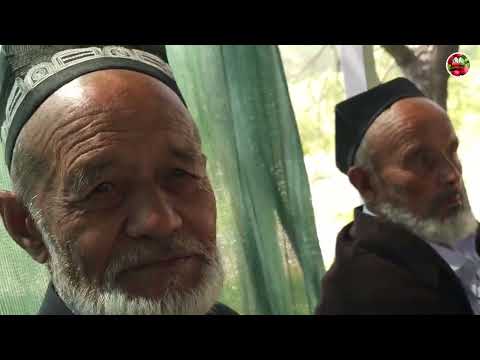 Видео: БОБОЛАШКАР ОҚСОҚОЛЛАРИ САЙЛДА...