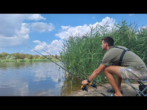 Видео: Роздача КАРАСЯ на снасть ПРУЖИНА. Риболовля на вбивцю карася. Рибалка 2024