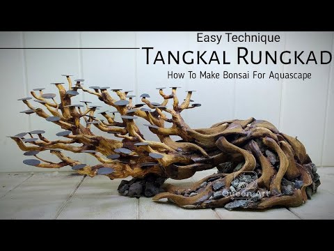 Видео: Как сделать бонсай с акваскейпом