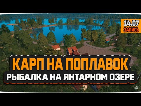 Видео: Ловля Карпов Махом, поплавочная рыбалка на Янтарном озере — Русская Рыбалка 4