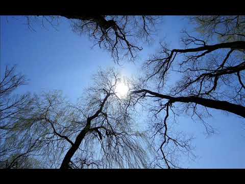 Видео: Асцендент в Весах