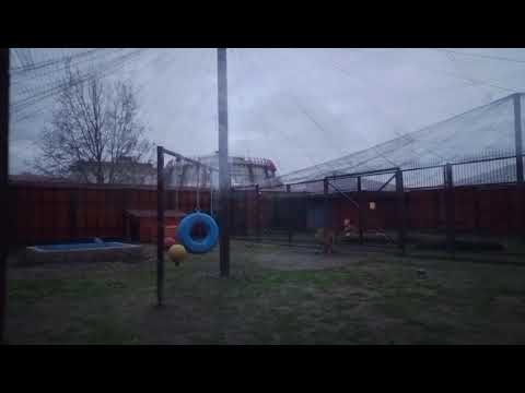 Видео: 02.11.2025г