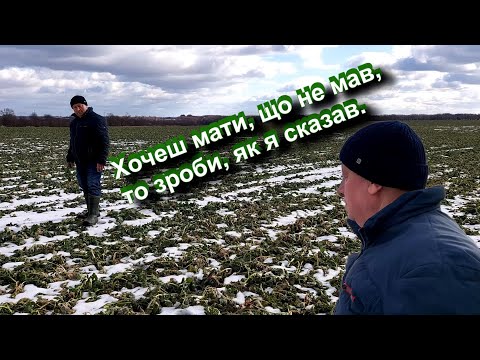 Видео: Ріпак. Хочеш мати, що не мав, тоді зроби, як я сказав.