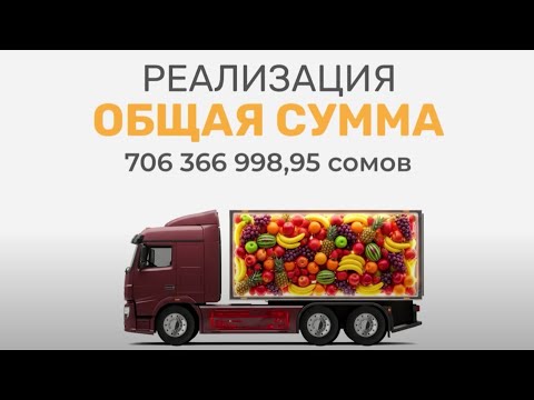 Видео: Как «толкачи» делают деньги на границе?