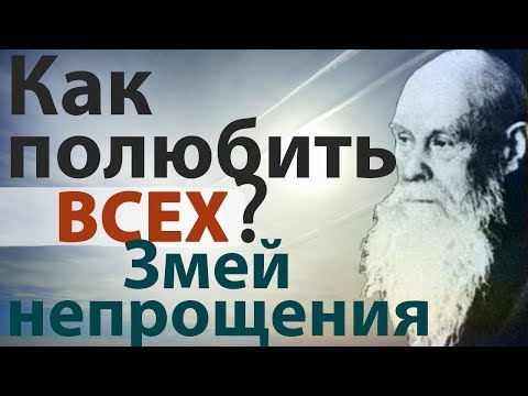 Видео: Как научиться ЛЮБИТЬ? Умение прощать. Пестов Н