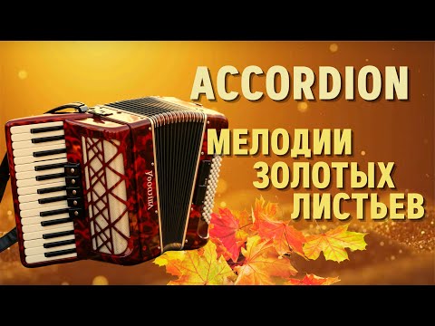 Видео: Когда звучит аккордеон - осень становится ярче | When the accordion plays, autumn shines brighter.