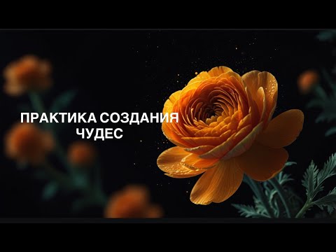 Видео: КАК СОЗДАВАТЬ ВОЛШЕБСТВО?