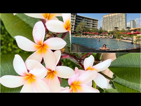 Видео: ‼️Пляж и море отеля Амари Паттайя Тайланд‼️часть3