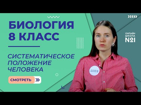 Видео: Систематическое положение человека. Видеоурок 2. Биология 8 класс