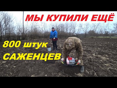 Видео: 66. КУПИЛИ УСАДЬБУ, ВОССТАНАВЛИВАЕМ! Нам мало 1000, купили ещё 800!