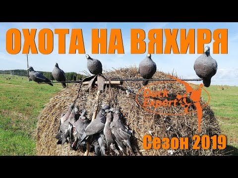 Видео: Охота на вяхиря с чучелами 2019. Поиск, маскировка, советы