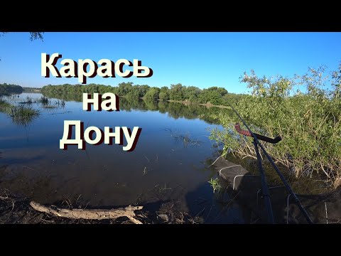 Видео: Карась на фидер на реке Дон в мае. Поклевки крупным планом.
