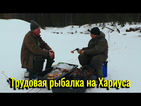 Видео: Трудовая рыбалка на Хариуса. Не тот размер, но радовали они нас всю рыбалку.