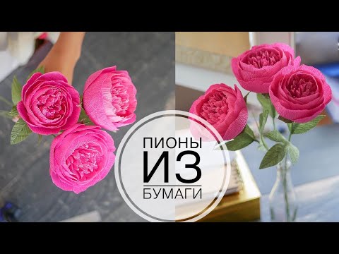 Видео: Paper peony / Пион из бумаги / ПРОСТО И КРАСИВО / DIY TSVORIC