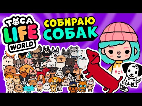 Видео: СОБИРАЮ ВСЕХ СОБАК в Тока Бока 🐕 ► Toca Life world