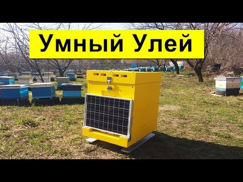 Видео: Умный Улей ✅ Amohive