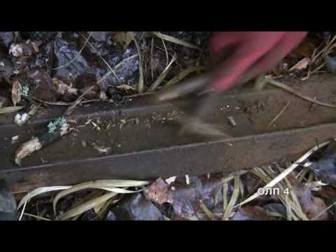 Видео: УнжЛАГ: лагпункты