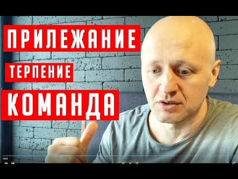 Видео: Прилежание Терпение Команда