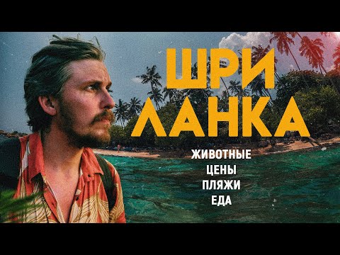 Видео: Жить у океана за $10 в день? Путешествие на Шри-Ланку - еда, море цены