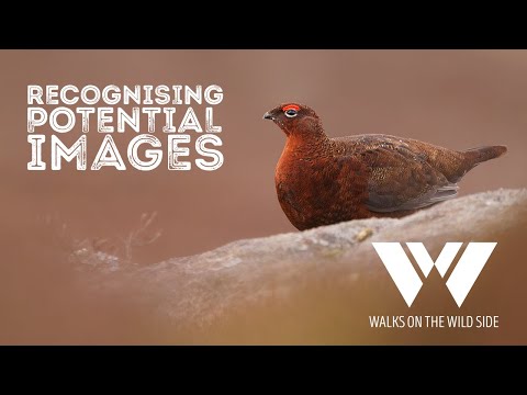 Видео: Сила пробного снимка: осознание потенциала фотографий