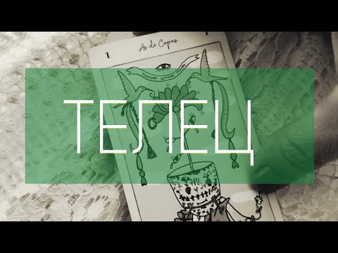 Видео: НОЯБРЬ прогноз на месяц