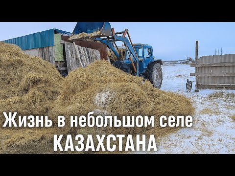 Видео: Хозяйственные хлопоты: уют бычкам и комфорт на кухне. Устанавливаем мойку и варочную поверхность. 