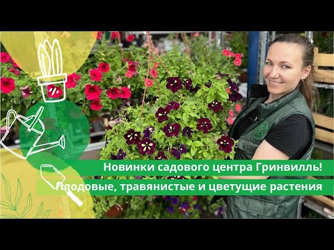 Видео: Новинки садового центра Гринвилль! Плодовые, травянистые и цветущие растения