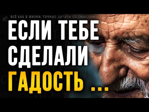 Видео: Каждая Цитата будто Взята из Моей Жизни, До Слёз! Точные жизненные Цитаты со Смыслом