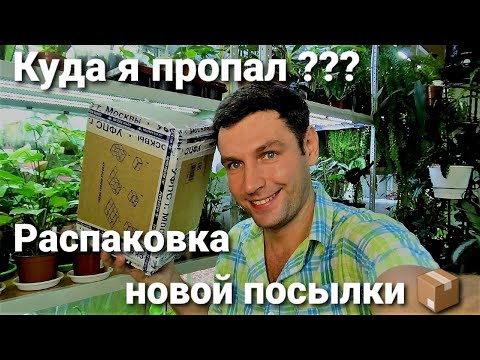 Видео: Распаковка новой посылки// Куда я пропал?