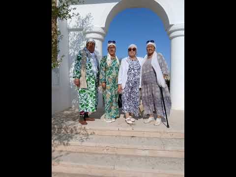 Видео: 5 ноября 2025 г.