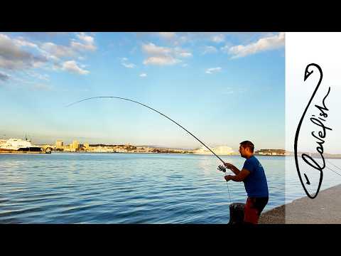 Видео: Рыба, которую искали и нашли!