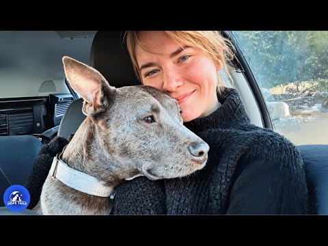 Видео: Никто не хотел ее брать три года, пока одна женщина не увидела ее сердце