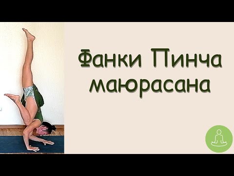 Видео: Пинча в стиле Фанк