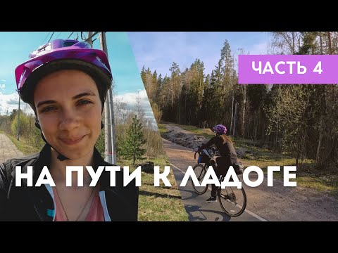 Видео: Выборг, неожиданный допрос и закат у озера / Ленобласть – день 4-5