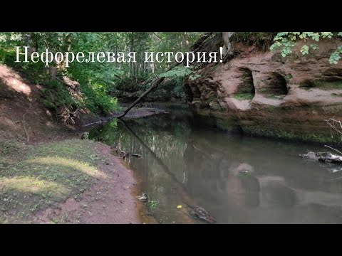 Видео: Нефорелевая история!